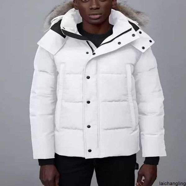 designer mens fourrure down jackets homme jassen chaquetas outerwear wolf fur hooded manteau wyndham canada parkas jacket coat dbm9, Black
designer mens fourrure down jackets homme jassen chaquetas outerwear wolf fur hooded manteau wyndham canada parkas jacket coat dbm9, Black