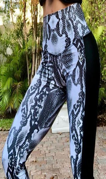 high waist snake skin print push up leggings women leather patchwork polyester ankle length polyester fitness leggins pants8872035, Black
high waist snake skin print push up leggings women leather patchwork polyester ankle length polyester fitness leggins pants8872035, Black