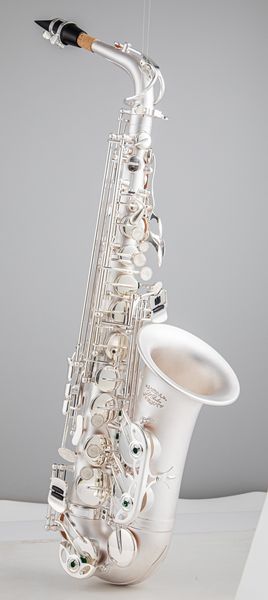 new arrival alto eb tune saxophone brass silver plated sax e flat musical instrument with nylon case mouthpiece ing
new arrival alto eb tune saxophone brass silver plated sax e flat musical instrument with nylon case mouthpiece ing