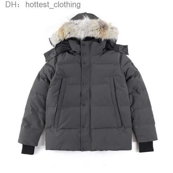 goose jacket designer men's down jacket women's canadian winter hooded thick warm coats femalecawu 3 1aum, Black
goose jacket designer men's down jacket women's canadian winter hooded thick warm coats femalecawu 3 1aum, Black