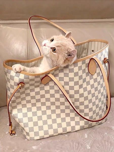 designers leather handbags women shopping bags with wallet mommy bag composite bag purse 2pcs/set louise purse vutton crossbody viuton bags
designers leather handbags women shopping bags with wallet mommy bag composite bag purse 2pcs/set louise purse vutton crossbody viuton bags