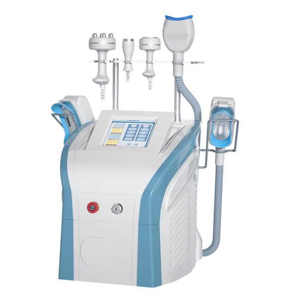 weight loss 360° cryo fat ing cryolipolysis slimming machine support two handles working together
weight loss 360° cryo fat ing cryolipolysis slimming machine support two handles working together