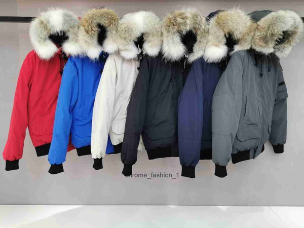 designer canadian down men and women outdoor warm windproof fashion coat long sleeve jacket wolf fur collar goose duck jeacket 0up9, Black
designer canadian down men and women outdoor warm windproof fashion coat long sleeve jacket wolf fur collar goose duck jeacket 0up9, Black