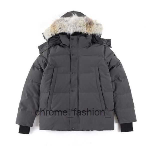 mens down jacket goose coat real big wolf fur canadian wyndham overcoat clothing casual fashion style winter outerwear parka 1 1e2k, Black
mens down jacket goose coat real big wolf fur canadian wyndham overcoat clothing casual fashion style winter outerwear parka 1 1e2k, Black