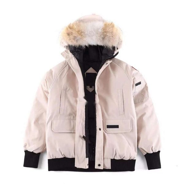 mens designer down jacket winter warm coats canadian goose casual letter embroidery outdoor winter fashion for male544, Black
mens designer down jacket winter warm coats canadian goose casual letter embroidery outdoor winter fashion for male544, Black
