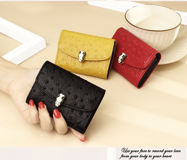 fashion designer wallets leather purses for women short wallet card holder ladies handbag wallet handbags bags purses credit card holder tot, Red;black
fashion designer wallets leather purses for women short wallet card holder ladies handbag wallet handbags bags purses credit card holder tot, Red;black