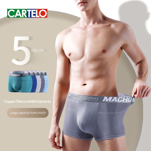 underpants cartelo men underwear copper fiber antibacterial boxers moisture absorbent breathable male shorts stretch seamless underpant 2308, Black;white
underpants cartelo men underwear copper fiber antibacterial boxers moisture absorbent breathable male shorts stretch seamless underpant 2308, Black;white