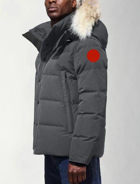 winter men down jackets real coyote fur designer homme puffer windbreaker jassen outerwear hooded fourrure manteau jacket coat hiver parka d, Black
winter men down jackets real coyote fur designer homme puffer windbreaker jassen outerwear hooded fourrure manteau jacket coat hiver parka d, Black