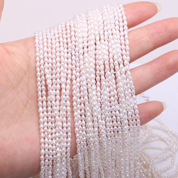 crystal natural freshwater pearl beaded rice shape punch loose beads for make jewelry diy bracelet necklace accessories
crystal natural freshwater pearl beaded rice shape punch loose beads for make jewelry diy bracelet necklace accessories