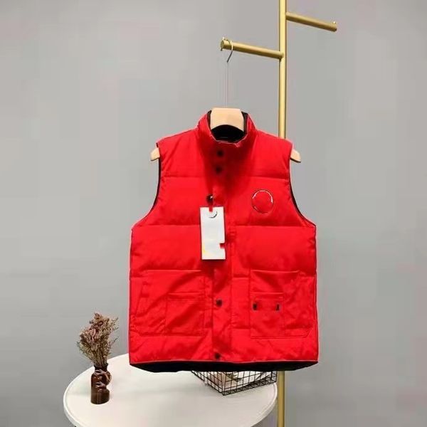 23sss vest down jacket for women mens designer hooded winter puffer vest coats outerwear full label jackets embroidered badge warm s-4xl, Black
23sss vest down jacket for women mens designer hooded winter puffer vest coats outerwear full label jackets embroidered badge warm s-4xl, Black