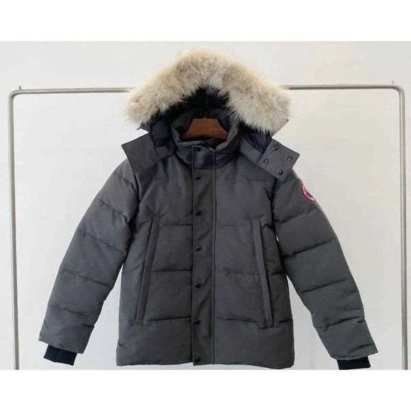 cananda goosedesigner men's down jacket women's canadian gooses parkers winter hooded thick warm coats femalecawu414970, Black
cananda goosedesigner men's down jacket women's canadian gooses parkers winter hooded thick warm coats femalecawu414970, Black