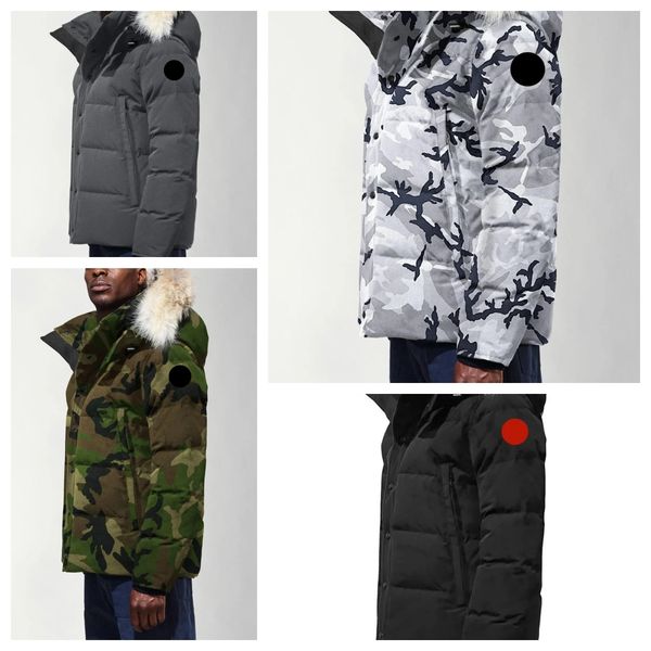 men women winter men down jackets real coyote fur designer homme puffer windbreaker jassen outerwear hooded fourrure manteau jacket coat hiv, Black
men women winter men down jackets real coyote fur designer homme puffer windbreaker jassen outerwear hooded fourrure manteau jacket coat hiv, Black