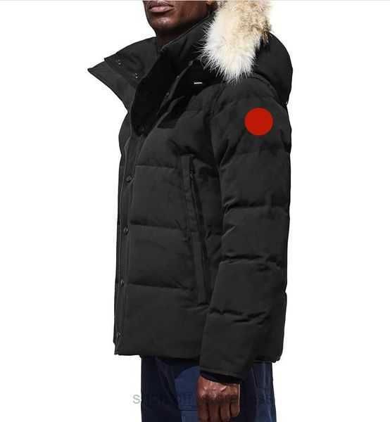 winter men down jackets real coyote fur designer homme puffer windbreaker jassen outerwear hooded fourrure manteau jacket coat hiver parka 8, Black
winter men down jackets real coyote fur designer homme puffer windbreaker jassen outerwear hooded fourrure manteau jacket coat hiver parka 8, Black