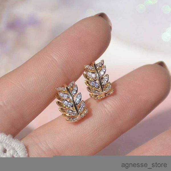 stud stud exquisite gold color leaves circle earrings for women shiny earring wedding birthday jewelry r230830, Golden;silver
stud stud exquisite gold color leaves circle earrings for women shiny earring wedding birthday jewelry r230830, Golden;silver