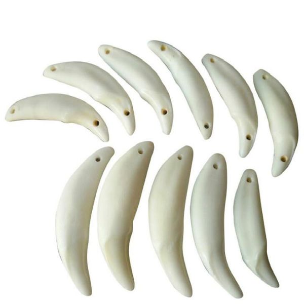 other jinse tibetan wild dog teeth natural fangs wolf tooth amulet charm pendants selling jewelry accessory wholesale 100pcs gy01
other jinse tibetan wild dog teeth natural fangs wolf tooth amulet charm pendants selling jewelry accessory wholesale 100pcs gy01