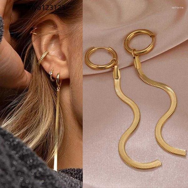 dangle earrings golden tassel stainless steel hanging metal with hoops long snake chains woman fashion designer jewelry, Silver
dangle earrings golden tassel stainless steel hanging metal with hoops long snake chains woman fashion designer jewelry, Silver
