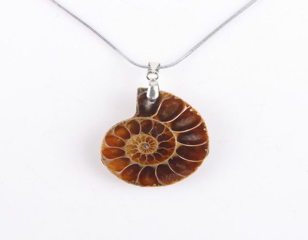 natural nautilus ammonite pendant conch chain shell pendant for necklace jewelry crafts ornaments gifts3563180, Silver
natural nautilus ammonite pendant conch chain shell pendant for necklace jewelry crafts ornaments gifts3563180, Silver