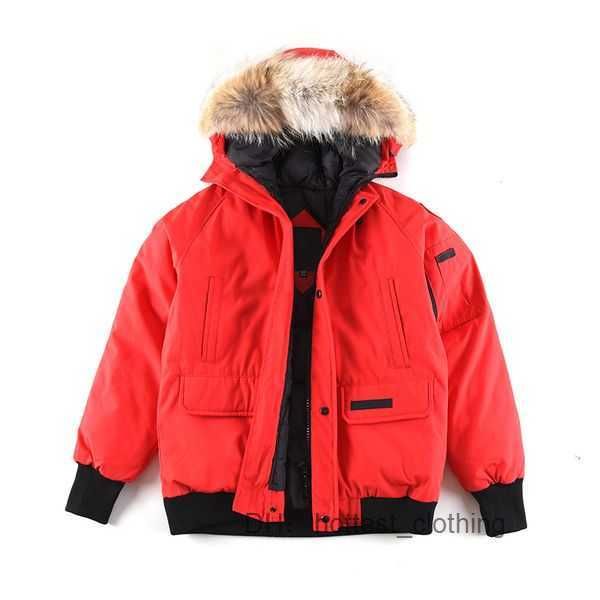 goose coat mens designer down winter warm coats canadian casual letter outdoor fashion for male couples parkas canda goose jacket 4 7sdy, Black
goose coat mens designer down winter warm coats canadian casual letter outdoor fashion for male couples parkas canda goose jacket 4 7sdy, Black