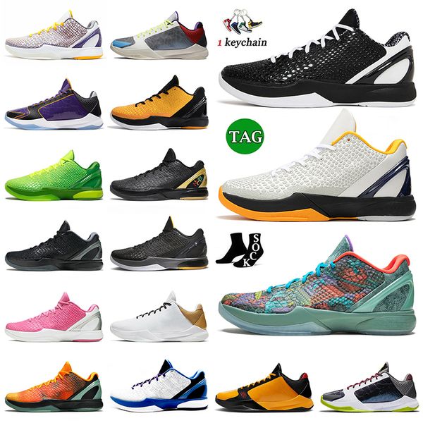 jumpman mambacita mamba protro 8 basketball shoes mens 5 protros bruce lee del sol 6 grinch chaos lakers men outdoor sports trainers sneaker
jumpman mambacita mamba protro 8 basketball shoes mens 5 protros bruce lee del sol 6 grinch chaos lakers men outdoor sports trainers sneaker