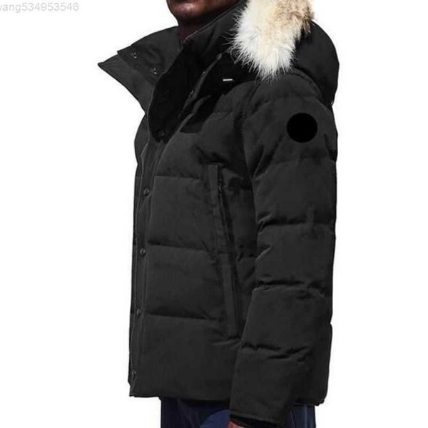 canada puffer jackets men designer real coyote fur outdoor wyndham windbreaker jassen outerwear hooded fourrure manteau down jacket coat hiv, Black
canada puffer jackets men designer real coyote fur outdoor wyndham windbreaker jassen outerwear hooded fourrure manteau down jacket coat hiv, Black