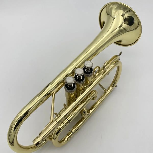 golden b-key professional cornet imported brass gold-plated professional-grade tone trumpet horn playing jazz instrument
golden b-key professional cornet imported brass gold-plated professional-grade tone trumpet horn playing jazz instrument
