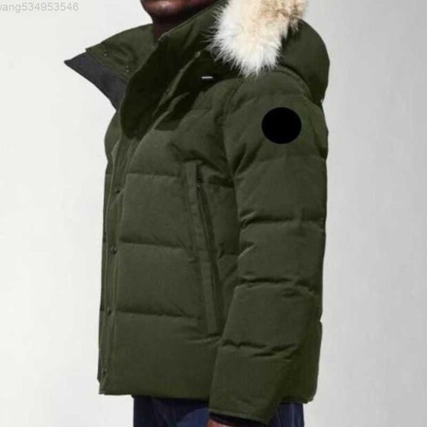 canada puffer jackets men designer real coyote fur outdoor wyndham windbreaker jassen outerwear hooded fourrure manteau down jacket coat hiv, Black
canada puffer jackets men designer real coyote fur outdoor wyndham windbreaker jassen outerwear hooded fourrure manteau down jacket coat hiv, Black