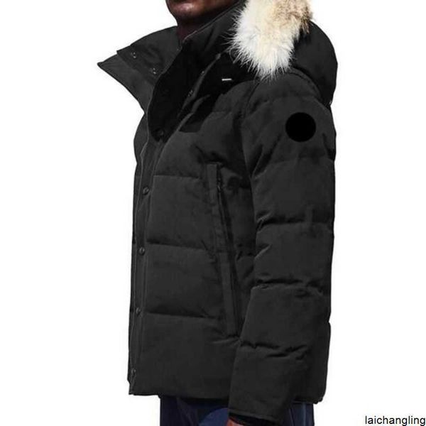canada puffer jackets men designer real coyote fur outdoor wyndham windbreaker jassen outerwear hooded fourrure manteau down jacket coatryxa, Black
canada puffer jackets men designer real coyote fur outdoor wyndham windbreaker jassen outerwear hooded fourrure manteau down jacket coatryxa, Black