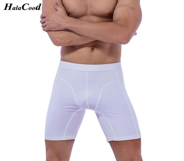 underpants winter brand long boxer men cuecas cotton underwear male man shorts homme s plus size xxxl1874766, Black;white
underpants winter brand long boxer men cuecas cotton underwear male man shorts homme s plus size xxxl1874766, Black;white