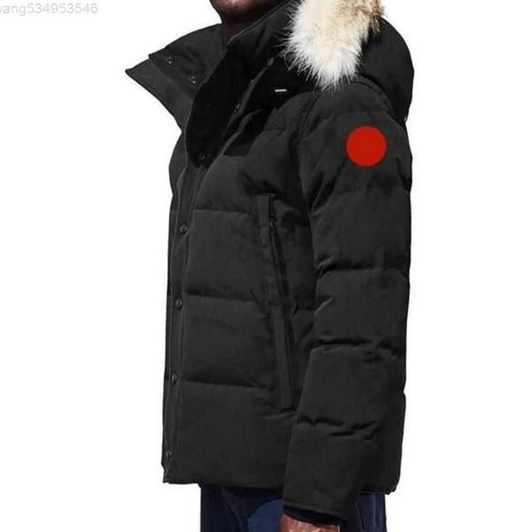 canada puffer jackets men designer real coyote fur outdoor wyndham windbreaker jassen outerwear hooded fourrure manteau down jacket coat hiv, Black
canada puffer jackets men designer real coyote fur outdoor wyndham windbreaker jassen outerwear hooded fourrure manteau down jacket coat hiv, Black