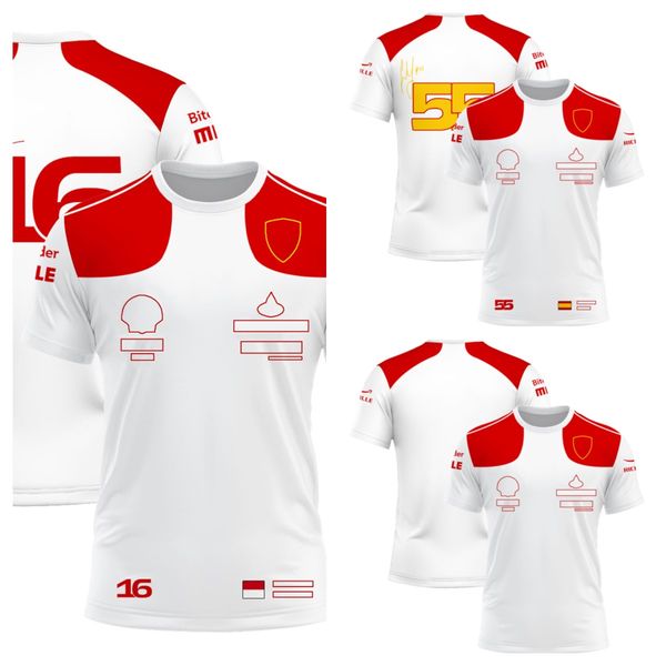official f1 fan t-shirts and hoodies -2023 new customizable size and fashion design
official f1 fan t-shirts and hoodies -2023 new customizable size and fashion design