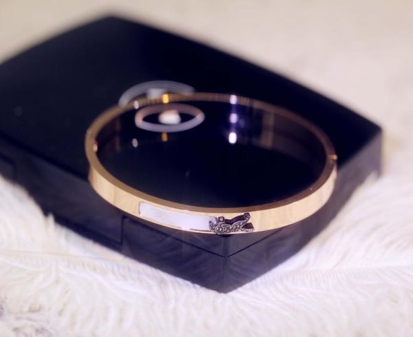 simple new leopard shell personality bracelet temperament joker titanium steel bracelet holiday gift women039s bracelet fashion4777823, Black
simple new leopard shell personality bracelet temperament joker titanium steel bracelet holiday gift women039s bracelet fashion4777823, Black