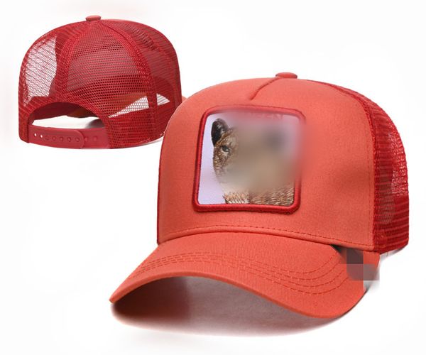 2023 luxury embroidered baseball cap men golf snapback designer fashion women style animal hat h16-3.1, Blue;gray
2023 luxury embroidered baseball cap men golf snapback designer fashion women style animal hat h16-3.1, Blue;gray