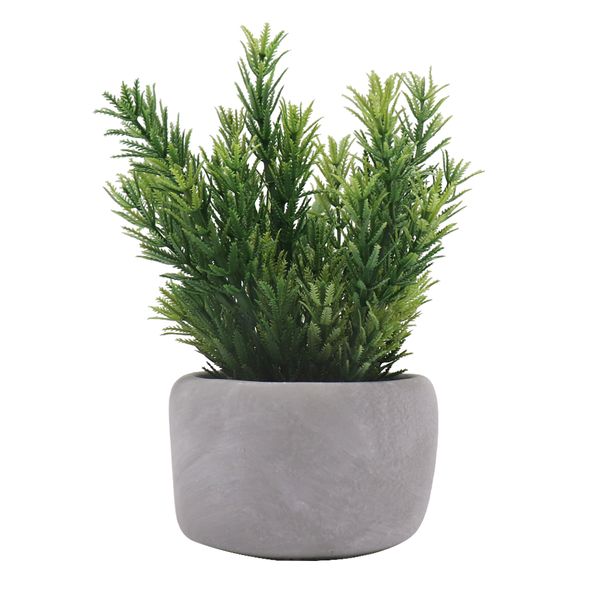 syl artificial plants cypress pot artificial potted plant grass for valentines day gift 2023
syl artificial plants cypress pot artificial potted plant grass for valentines day gift 2023