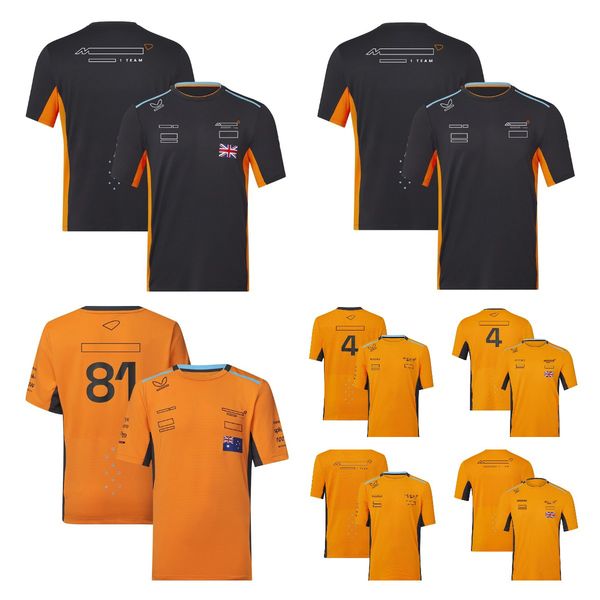 f1 team 2023 short-sleeved t-shirt sports round neck casual racing suit men's custom polo shirt for fans
f1 team 2023 short-sleeved t-shirt sports round neck casual racing suit men's custom polo shirt for fans