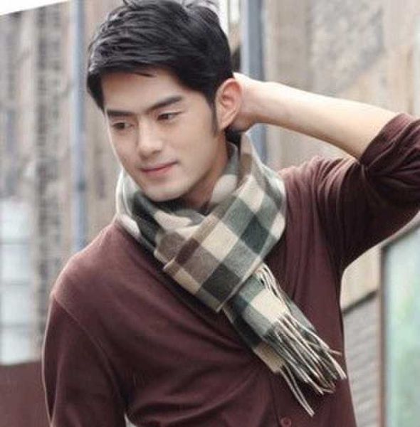 scarves fashion men winter scarves cashmere scarf shawls men tassel scarf 175*38cm l230302, Blue;gray
scarves fashion men winter scarves cashmere scarf shawls men tassel scarf 175*38cm l230302, Blue;gray