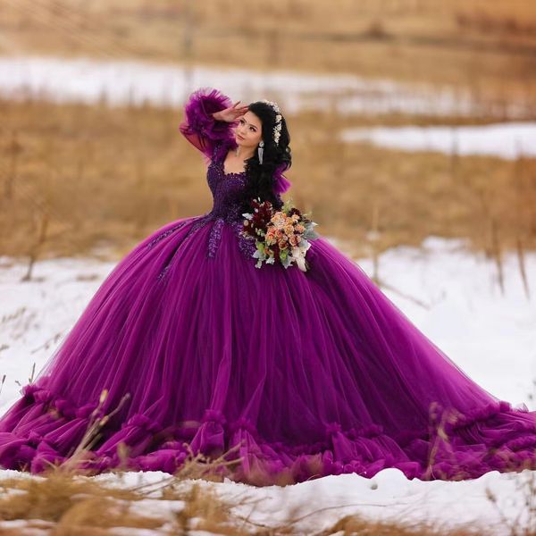 luxury purple quinceanera dress ball gowns beads appliques ruffles long sleeve vestidos de 15 anos formal prom dresses, Blue;red
luxury purple quinceanera dress ball gowns beads appliques ruffles long sleeve vestidos de 15 anos formal prom dresses, Blue;red