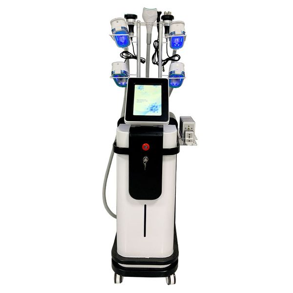 cryolipolysis fat e machine lipo laser cellulite reduction 40k cavitation weight fat loss rf skin tightening machines 5 cryo handles beauty
cryolipolysis fat e machine lipo laser cellulite reduction 40k cavitation weight fat loss rf skin tightening machines 5 cryo handles beauty