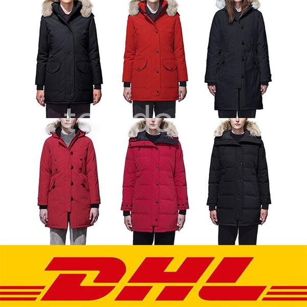 dhl shiping wemen down real wolf fur collar duck down jackets coats warm winter coat outwear canada jacket parkas247x, Black
dhl shiping wemen down real wolf fur collar duck down jackets coats warm winter coat outwear canada jacket parkas247x, Black