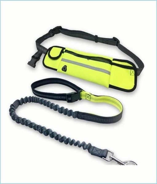 

Dog Collars Leashes Dog Leash Running Nylon Hand Ly Pet Products Harness Collar Jogging Lead Adjustable Waist Leashes Traction Bel2689438