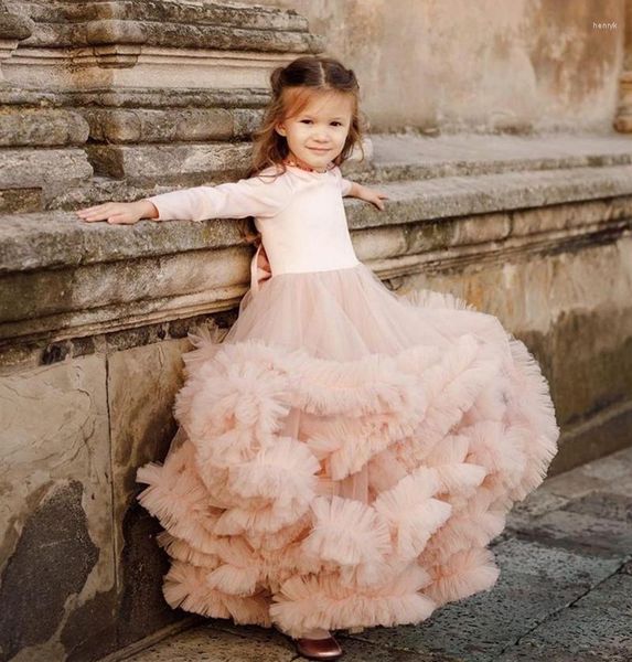 Girl Dresses wer Girls 2023 Pink Ball Gown Princess Wedding Party Long Sleeve First Communion Dress, Ivorie
Girl Dresses wer Girls 2023 Pink Ball Gown Princess Wedding Party Long Sleeve First Communion Dress, Ivorie