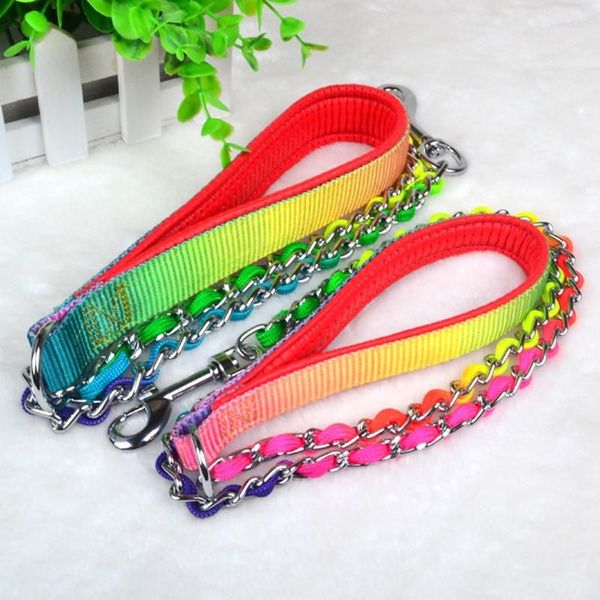 Dog Collars Rainbow P Rope Pet Leash For Training Metal Puppy Color Traction Snake Chain Outdoor Walking Lead Harness
Dog Collars Rainbow P Rope Pet Leash For Training Metal Puppy Color Traction Snake Chain Outdoor Walking Lead Harness