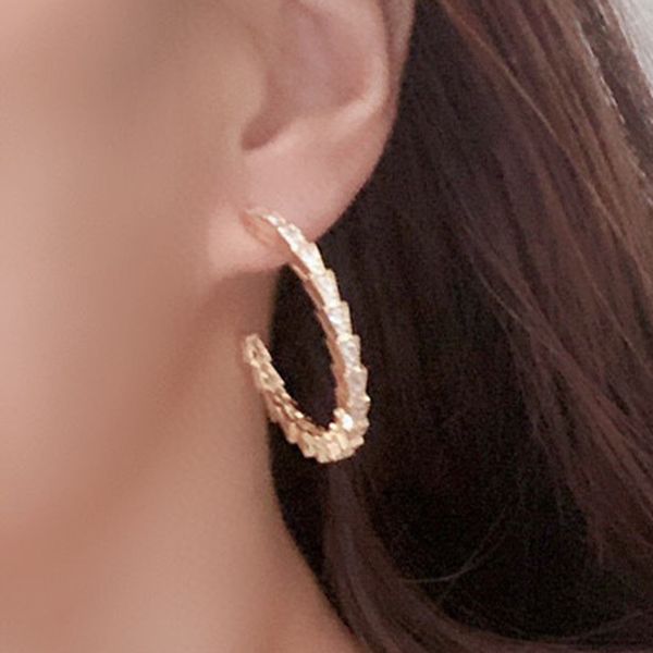 buigari serpentine scale designer dangle earrings for woman diamond sterling silver gold plated 18k t0p quality classic style jewelry premiu, White
buigari serpentine scale designer dangle earrings for woman diamond sterling silver gold plated 18k t0p quality classic style jewelry premiu, White