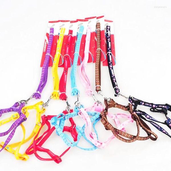 dog harness dog collars bilayer durable adjustable nylon pet collar harness set leashes cat lead leash walking vest train
dog harness dog collars bilayer durable adjustable nylon pet collar harness set leashes cat lead leash walking vest train