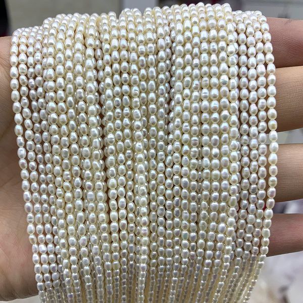 beaded necklaces luomanxiari 2.53mm rice shape natural freshwater pearl beads for jewelry making diy women bracelet necklace earrings 230306, Silver
beaded necklaces luomanxiari 2.53mm rice shape natural freshwater pearl beads for jewelry making diy women bracelet necklace earrings 230306, Silver
