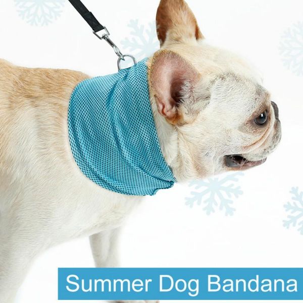instant cooling pet bandana dog scarf cooling collars pet summer sunstroke prevention towel wrap neck for dogs
instant cooling pet bandana dog scarf cooling collars pet summer sunstroke prevention towel wrap neck for dogs