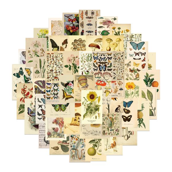 50pcs-pack vintage butterfly floral stickers wholesale vinyl sticker waterproof lap car scrapbooking guitar box skateboard jdm luggage decal
50pcs-pack vintage butterfly floral stickers wholesale vinyl sticker waterproof lap car scrapbooking guitar box skateboard jdm luggage decal