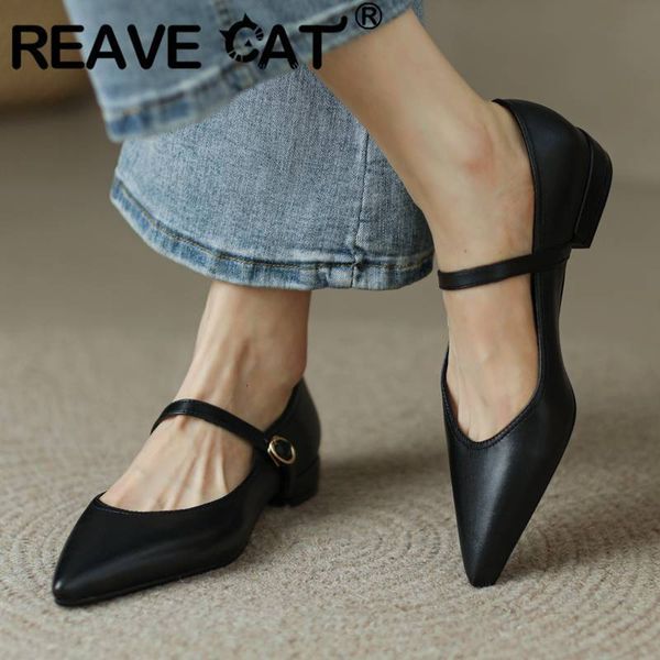 dress shoes reave cat 2023 design women flats pointed toe buckle straps elegant female soft comfortable solid large size 40 41 42 43 230307, Black
dress shoes reave cat 2023 design women flats pointed toe buckle straps elegant female soft comfortable solid large size 40 41 42 43 230307, Black