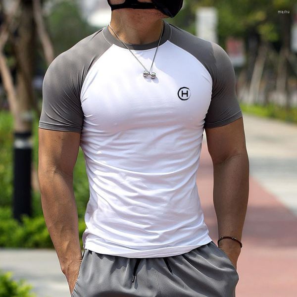 men's t shirts 2023 summer men t-shirt quick-drying fitting training tight elasticity short sleeves breathable gym men's sports, White;black
men's t shirts 2023 summer men t-shirt quick-drying fitting training tight elasticity short sleeves breathable gym men's sports, White;black