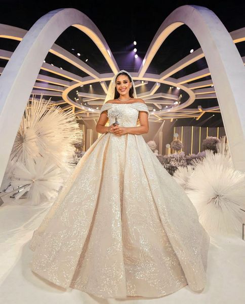 sparkly ball gown wedding dresses bateau sleeveless off shoulder lace sequins appliques floor length beaded sparkly ruffles formal dresses b, White
sparkly ball gown wedding dresses bateau sleeveless off shoulder lace sequins appliques floor length beaded sparkly ruffles formal dresses b, White