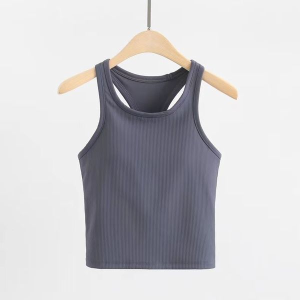 Lu Tank Top Slim Fit Sleeveless Yoga Outfits Shirt Brushed Women Workout Sports with Padded Bra, Pink
Lu Tank Top Slim Fit Sleeveless Yoga Outfits Shirt Brushed Women Workout Sports with Padded Bra, Pink